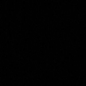 Meet your Posher, Raven